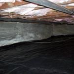 crawl space control pest clean up after