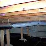 crawl space pest clean up after