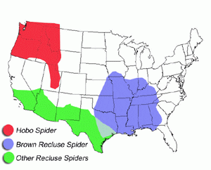 hobo spider map