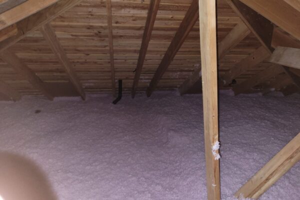 Photo May 08 2025, 10 48 45 PM (1)