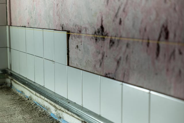 mold behind tiles