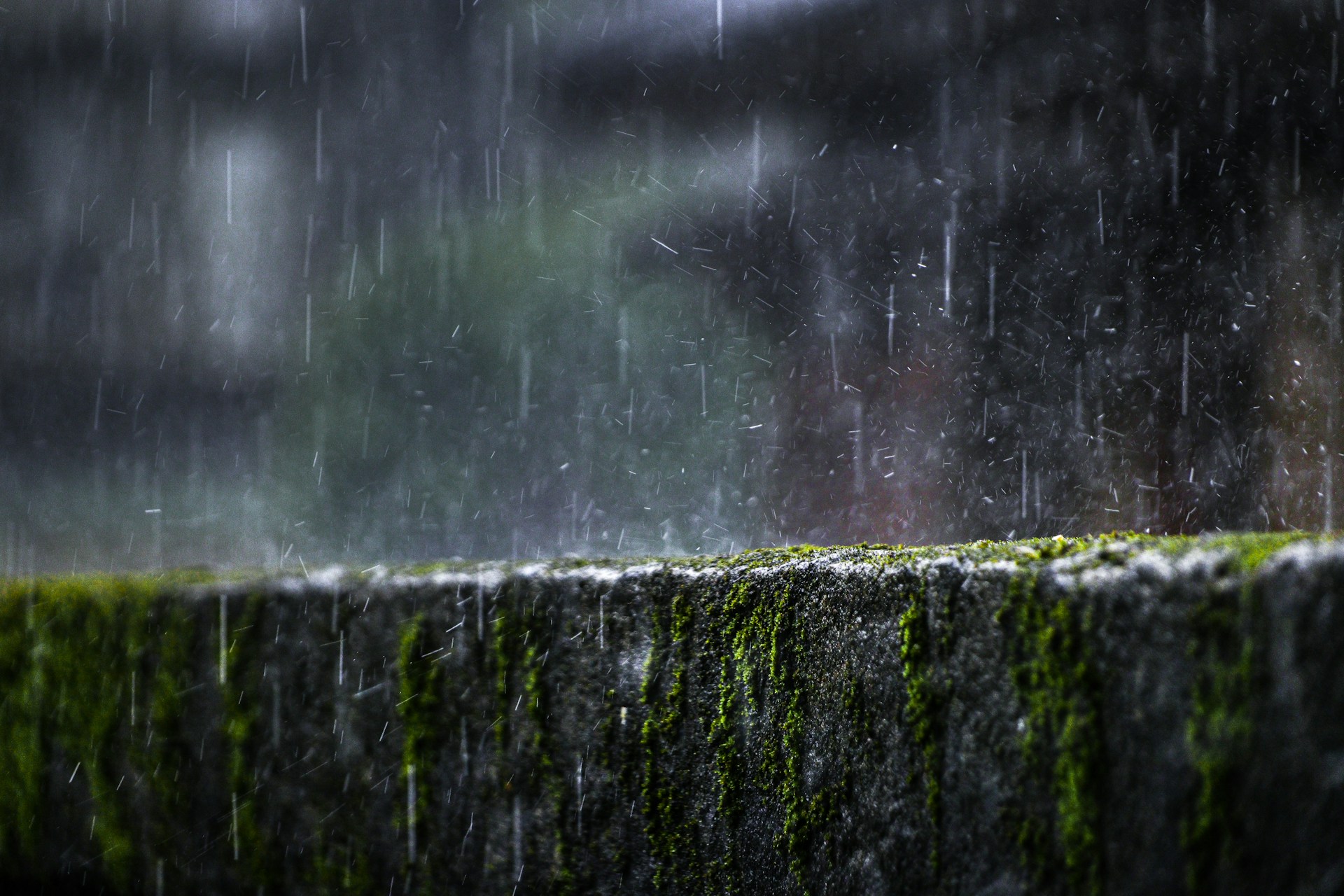 pacific northwest rain